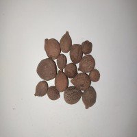 Beleric Dried (raw) / Tanekayi 250 Grms