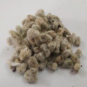 hatti beeja Cotton Seeds (raw) / Paruthi Vidhai 250gm