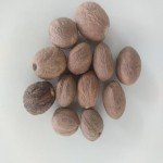 JajiKayi /Nutmeg Dried (raw) / Jathikai