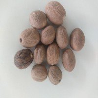 jajikayi-nutmeg-dried-raw-jathikai