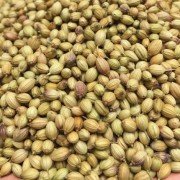 Dhaniya – Coriander seeds 250 Grams