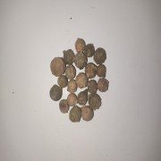 Bluejack Dried (raw) / Masikai /maplakayi 250grms