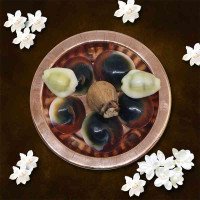 peacock-eye-gomti-chakra-kit-peacock-eye-gomti-chakra-5-sriphal-1-vinayagar-eye-kubera-coin-copper-plate