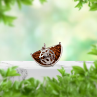 1-face-half-moon-rudraksha-pendant-1-mukhi-half-moon-rudraksha