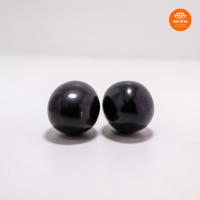 black-shaligram-stone