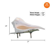 valampuri-shankh-valampuri-sangu-with-brass-stand