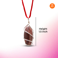 narmadeshwar-lingam-locket-brown-narmadeshwar-shiv-lingam-pendant