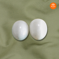white-shaligram-stone