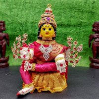 special-durga-decorated-body