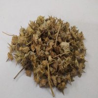 large-caltrops-dried-raw-yanai-nerunjil