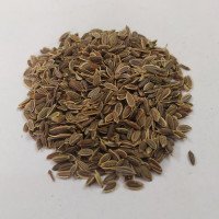 dill-seed-dried-raw-sathakuppai