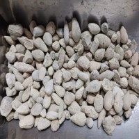 ber-patthar-stone-ber-pathar-fish-stone-sang-e-sarmahi-hajrul-yahood-fossil-encrinite