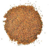 taramira-beej-arugula-seeds-safed-sarson-white-sarso-white-mustard-tarmira-seeds-brassica-eruca-eruca-sativa-rocket-seeds