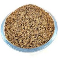 carrot-seeds-edible-gajar-k-beej-daucus-carota