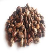 Castor Seeds (Red) - Erandi Beej Lal - Ricinus Communis Seeds HARALENNE KAYI