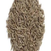 kahu-jeera-kahoo-jira-kahu-beej-lettuce-seeds-lactuca-sativa
