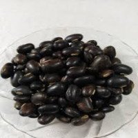 kaunch-seeds-black-unpurified-kauch-beej-kala-konch-mucuna-pruriens-black-cowhage-alkushi-naggeli-mullu-kare