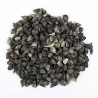 khareti-seeds-kharaiti-beej-atibala-seeds-abutilon-indicum