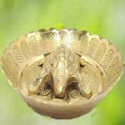 Brass Turtle with Plate for Positive Energy