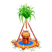 vaidhika(P -3) - Pongal Backdrop Cloth for Decoration - Sankranthi Theme Backdrop - Backdrop for Pongal Festival - Festival Decorative Backdrops - 5x8 ft