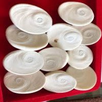 gomti-chakra-big