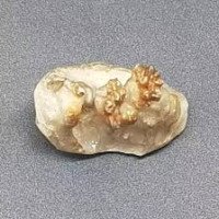 natural-chandra-mani