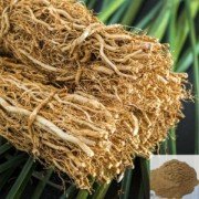 Lavancha Beru/Coleus Vettiveroides Root Powder / Vetiver 50GRMS