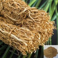 lavancha-berucoleus-vettiveroides-root-powder-vetiver-50grms