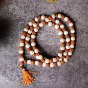 Natural Rudraksha and Pearl Mala