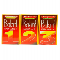 Baidyanath Jhansi Balant Kadha NO.1 200ml