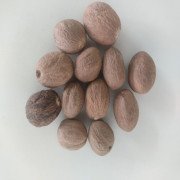 Nutmeg Dried (raw) / Jaathikai