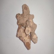 China Root (raw) / Parangi Pattai