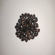 Velvet Bean Dried Seed (raw) / Poonaikali