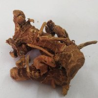 Lesser Galangal Dried (raw) / Chitharathai / Sitharathai