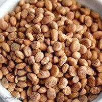 Chironji Dana - Charoli Dana - Chirauli Nut - Almondette Seeds - Priyala - Cuddapah Almond- Buchanania Lanzan - Dry Fruits