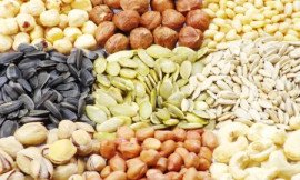 Edible and medicinal seeds